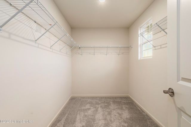 7716 Fair Ln, Louisville, KY 40291