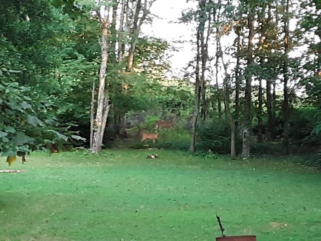 82 Spring Hollow RD, Troutville, VA 24175