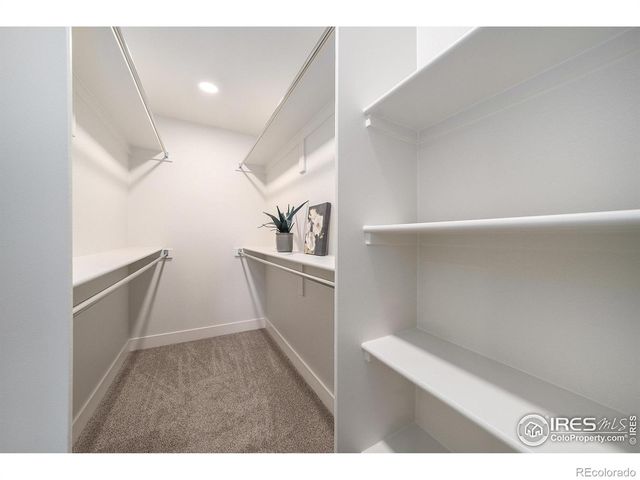 3207 Greenwood Court, Fort Collins, CO 80525