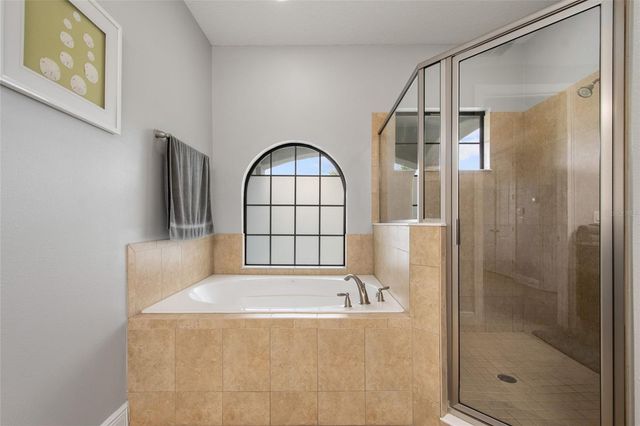 945 DESERT MOUNTAIN COURT, Reunion, FL 34747