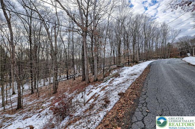Raccoon Court, Lehman Twp, PA 18324