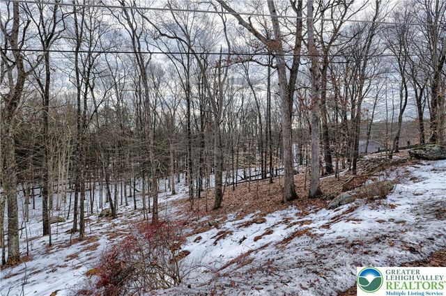 Raccoon Court, Lehman Twp, PA 18324