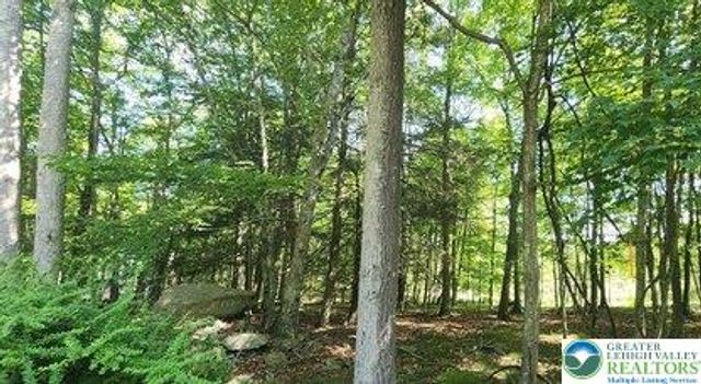 Raccoon Court, Lehman Twp, PA 18324