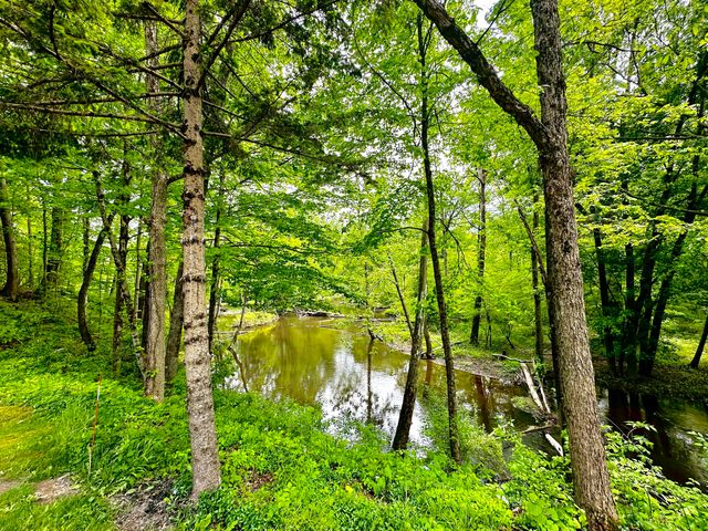 41341 Co Rd 665, Waverly Twp, MI 49079