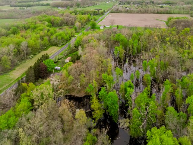 41341 Co Rd 665, Waverly Twp, MI 49079