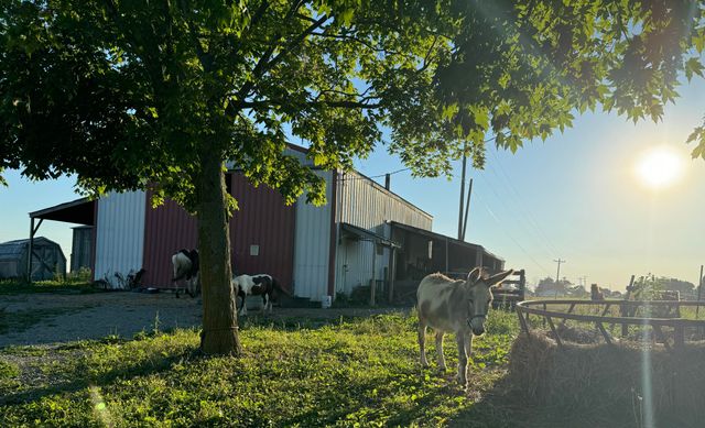 3954 Wallingford Road, Flemingsburg, KY 41041