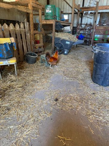 3954 Wallingford Road, Flemingsburg, KY 41041