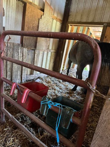 3954 Wallingford Road, Flemingsburg, KY 41041