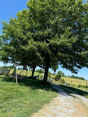 3954 Wallingford Road, Flemingsburg, KY 41041