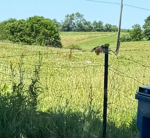 3954 Wallingford Road, Flemingsburg, KY 41041