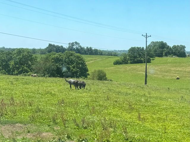 3954 Wallingford Road, Flemingsburg, KY 41041