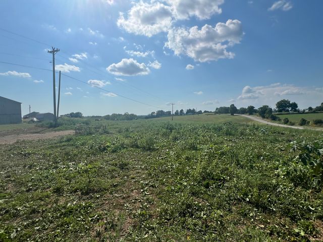 3954 Wallingford Road, Flemingsburg, KY 41041