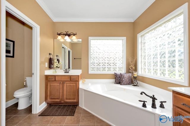 195 Sarah Jane Drive, Madison, AL 35757