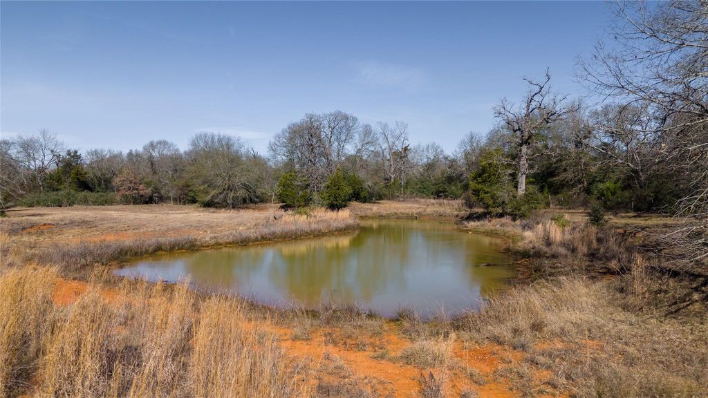 Tbd Tract 6 Wallace Rd, Madisonville, TX 77864