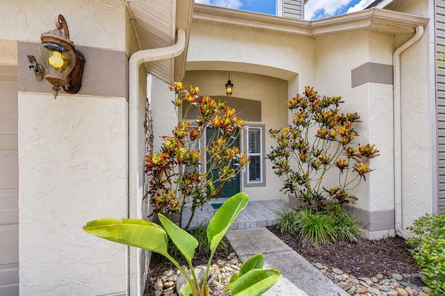5424 WINDBRUSH DRIVE, Tampa, FL 33625