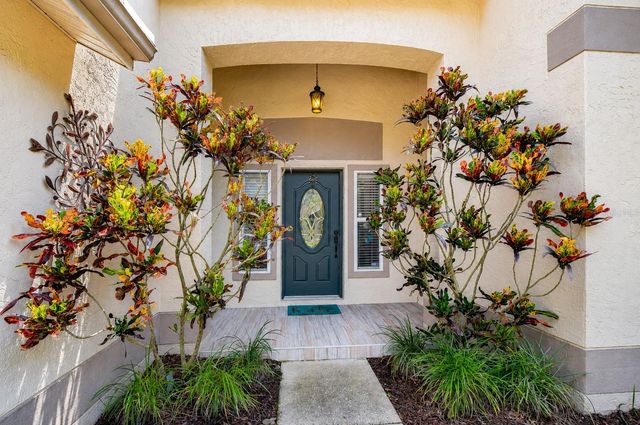 5424 WINDBRUSH DRIVE, Tampa, FL 33625