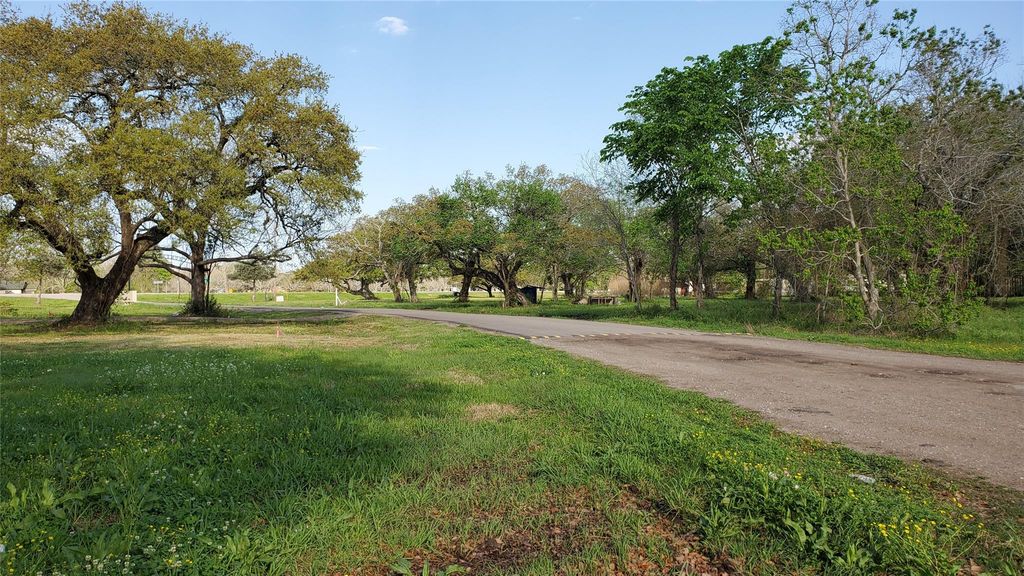 191 Country Oaks Street, Brazoria, TX 77422