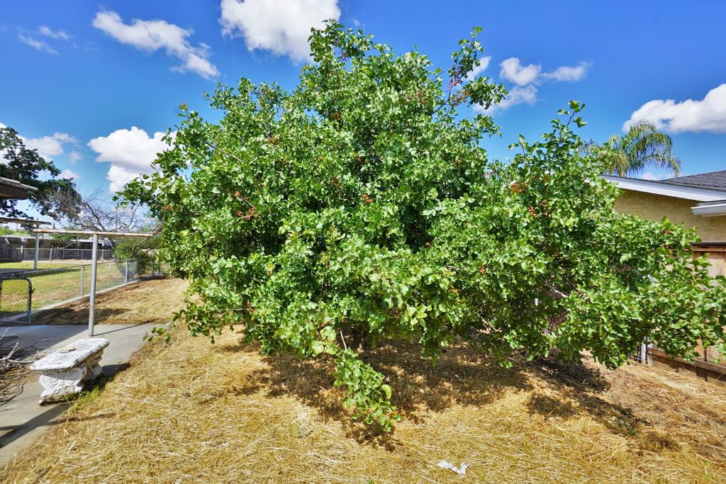 Image 59 of property listing at 842 E Florinda Street, Hanford, CA 93230