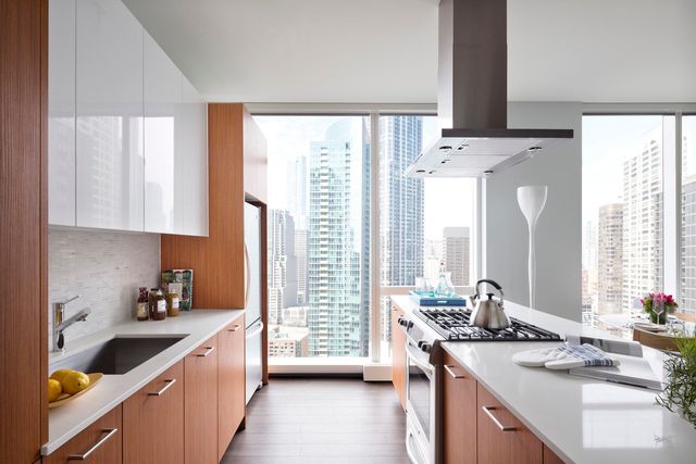 500 N Lake Shore Drive 3814, Chicago, IL 60611