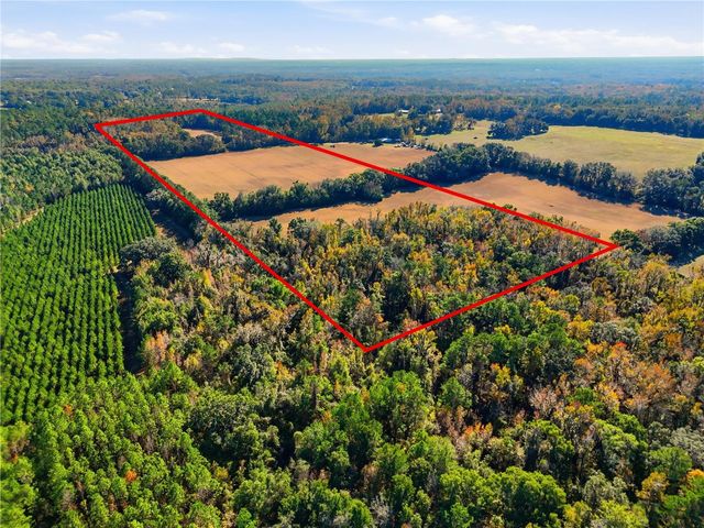 OLD BELLAMY RD, High Springs, FL 32643
