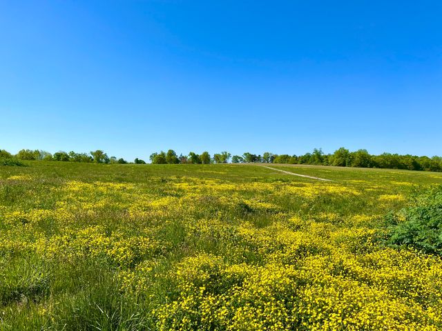 305 Appaloosa Trail, Wilmore, KY 40390