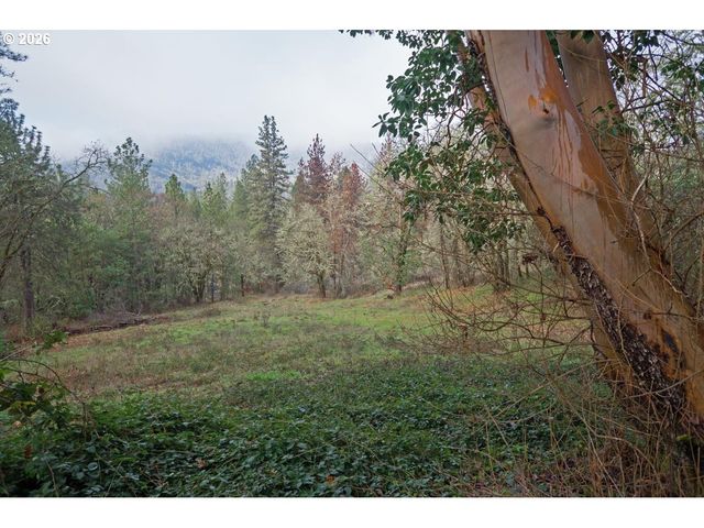 1040 WARDS CREEK Rd, Rogue River, OR 97537