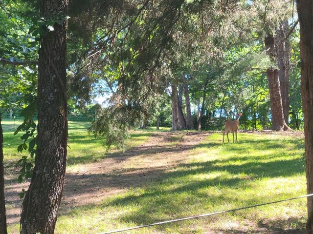 815 Brunswick Forge RD, Troutville, VA 24175