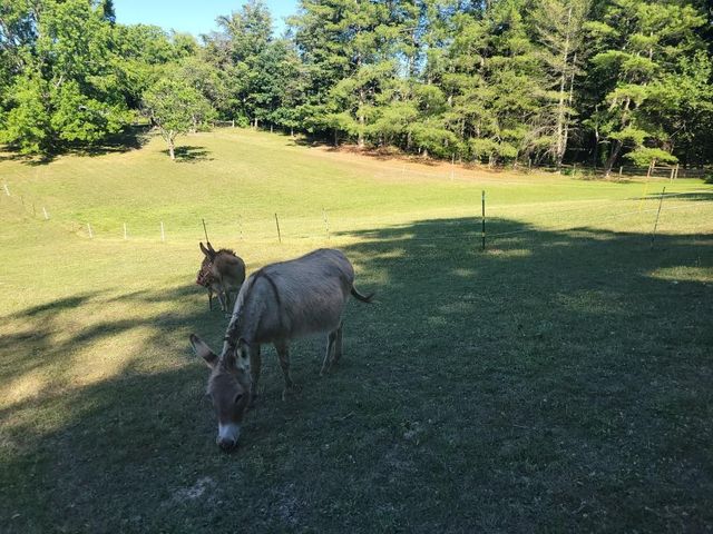 815 Brunswick Forge RD, Troutville, VA 24175