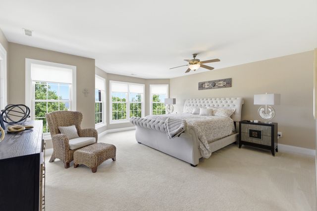 25305 W St Elizabeth Drive, Channahon, IL 60410