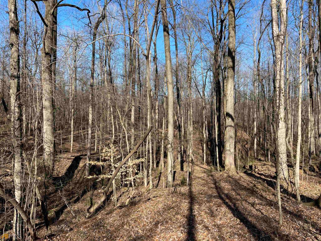 0 Farmers Academy Road, Martin, GA 30557 — photo 4