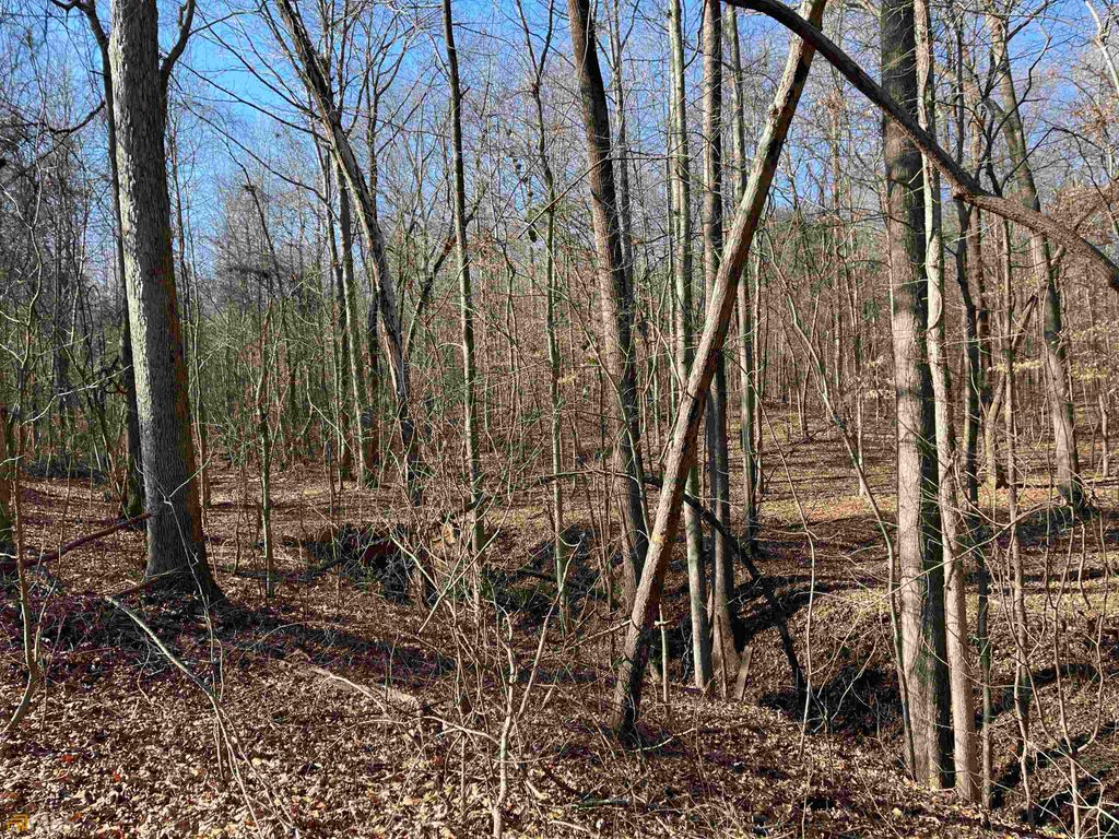 0 Farmers Academy Road, Martin, GA 30557 — photo 5