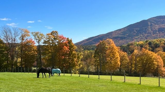 325 Cemetery Road, West Windsor, VT 05089