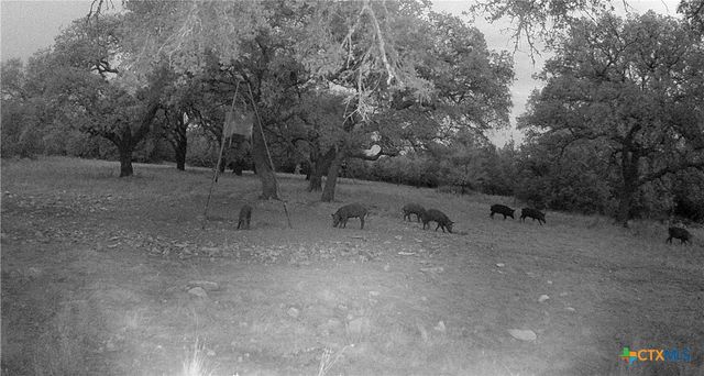 1595 Sky Ridge Road, Lampasas, TX 76550