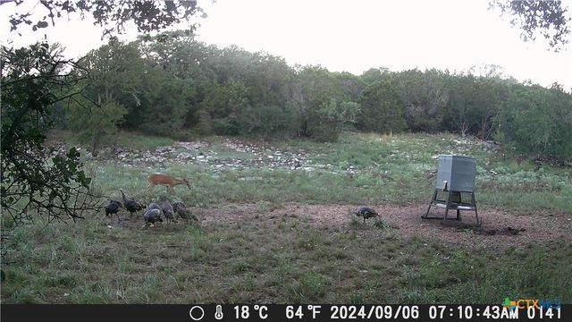 1595 Sky Ridge Road, Lampasas, TX 76550