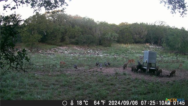 1595 Sky Ridge Road, Lampasas, TX 76550