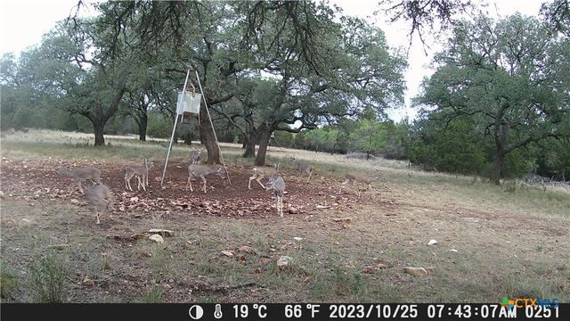 1595 Sky Ridge Road, Lampasas, TX 76550