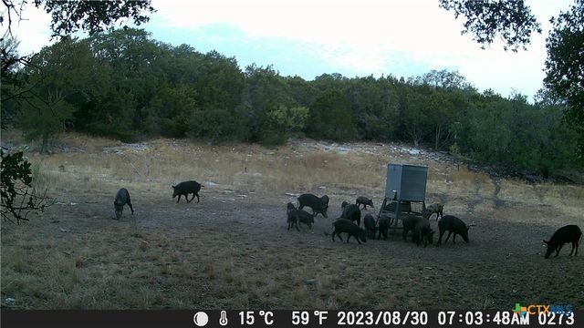 1595 Sky Ridge Road, Lampasas, TX 76550