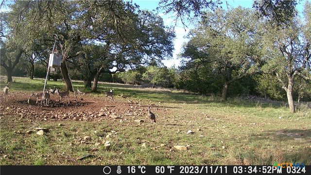 1595 Sky Ridge Road, Lampasas, TX 76550