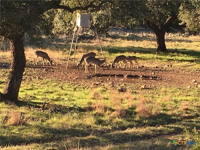 1595 Sky Ridge Road, Lampasas, TX 76550
