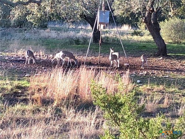 1595 Sky Ridge Road, Lampasas, TX 76550