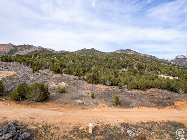 5458 COUGAR RUN, Birdseye, UT 84629