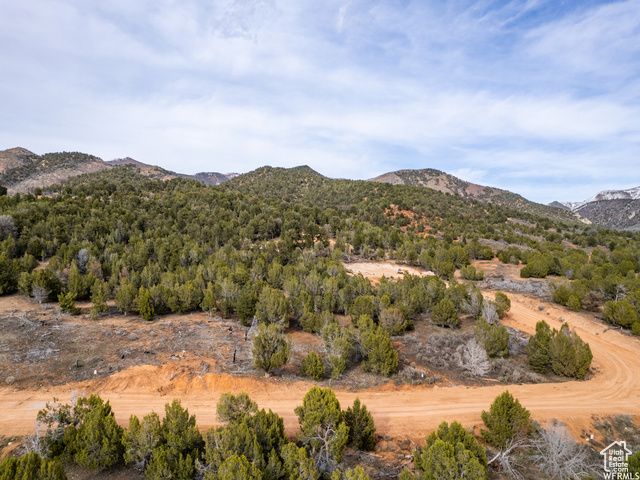 5458 COUGAR RUN, Birdseye, UT 84629