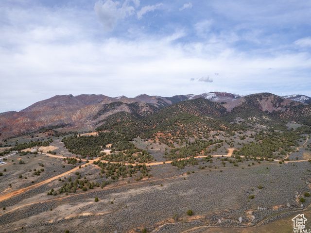 5458 COUGAR RUN, Birdseye, UT 84629