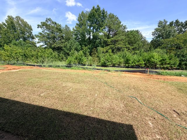 1232 Carriage Wood Circle, Ridgeville, SC 29472