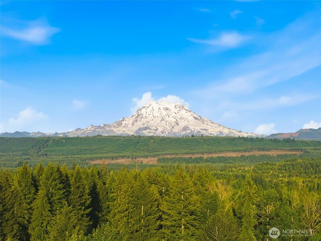 12817 Kapowsin Highlands Drive E, Graham, WA 98338