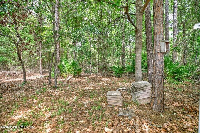 3839 TRAIL RIDGE Road, Middleburg, FL 32068