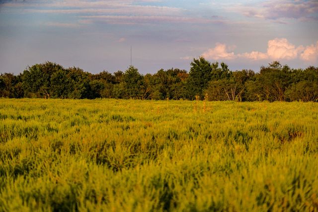 99.97 Acres S 281 Highway, Perrin, TX 76486