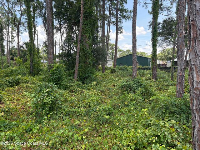 1524 Holbrook Road NW, Palm Bay, FL 32907