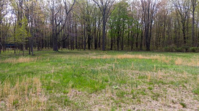 13254 Wilson Road, New Buffalo Twp, MI 49117