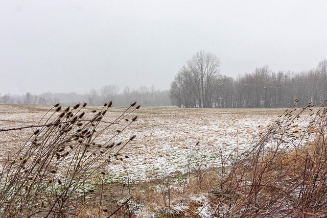 40021 CR 665, Paw Paw, MI 49079